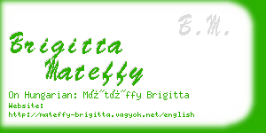 brigitta mateffy business card